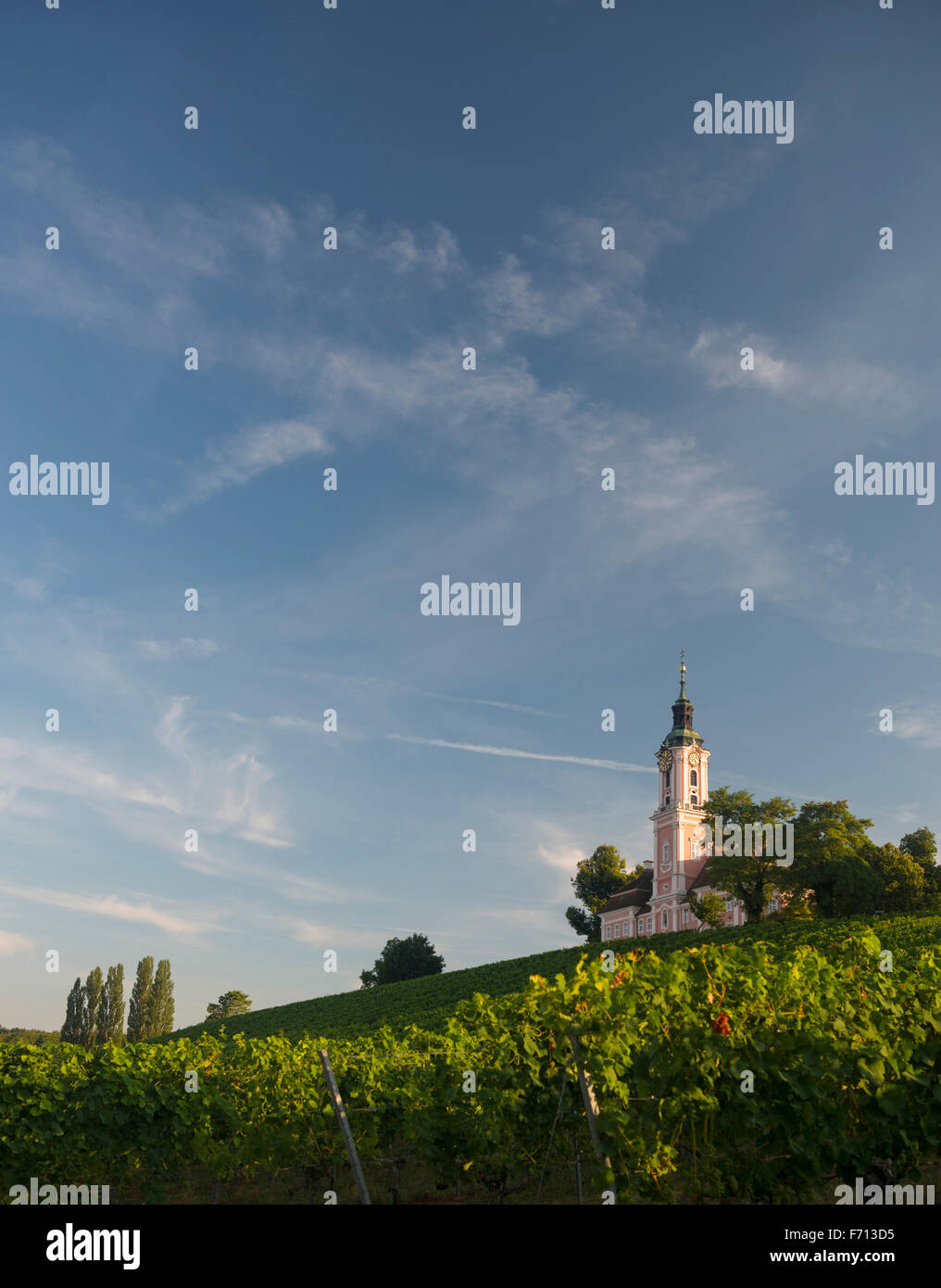 Church in the vineyards, pilgrimage church and monastery Birnau, Unteruhldingen, Lake Constance, Baden-Württemberg, Germany Stock Photo