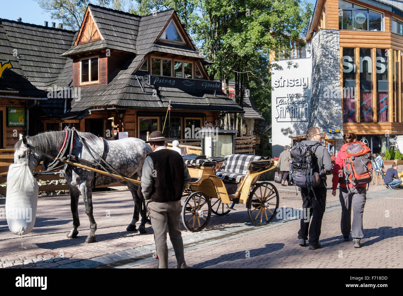 Tourists horse and carriage for city tours waits on Krupowki Street, Zakopane, Tatra County, Poland, Europe Stock Photo