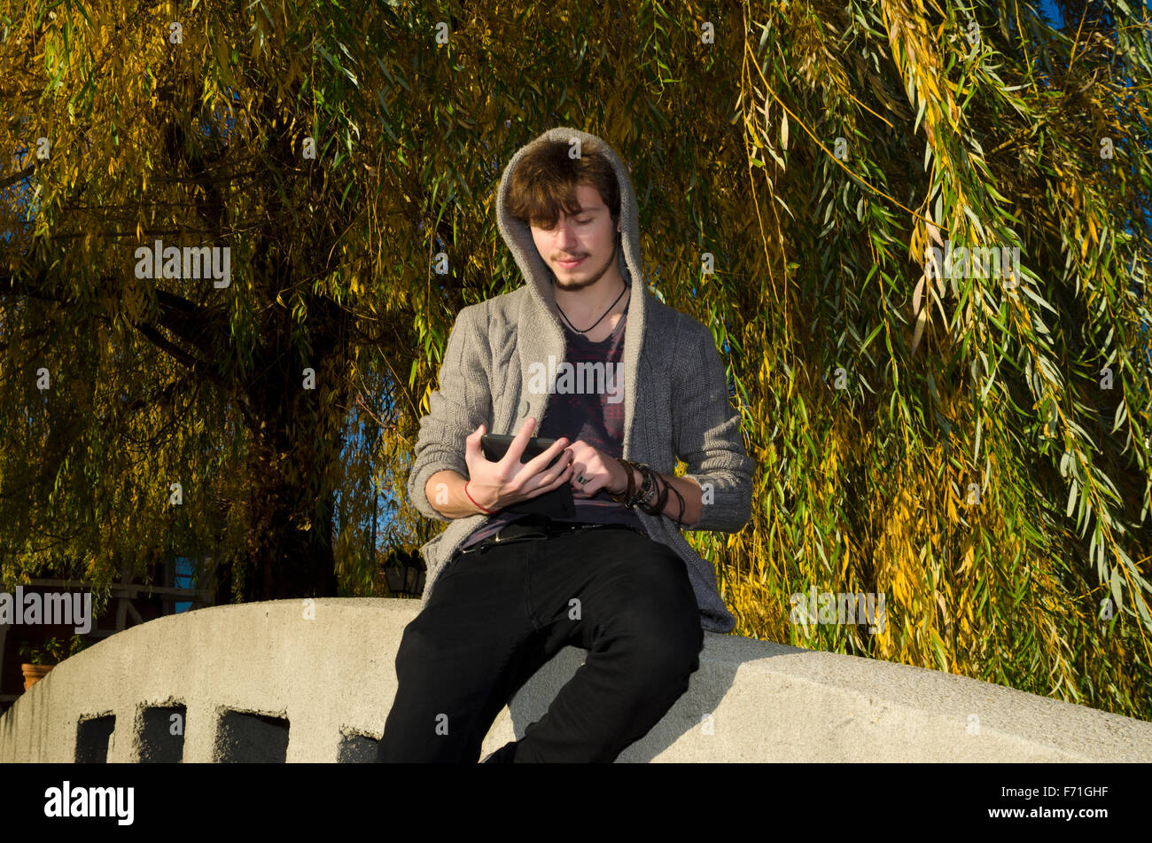 Electronic equivalent hires stock photography and images Alamy