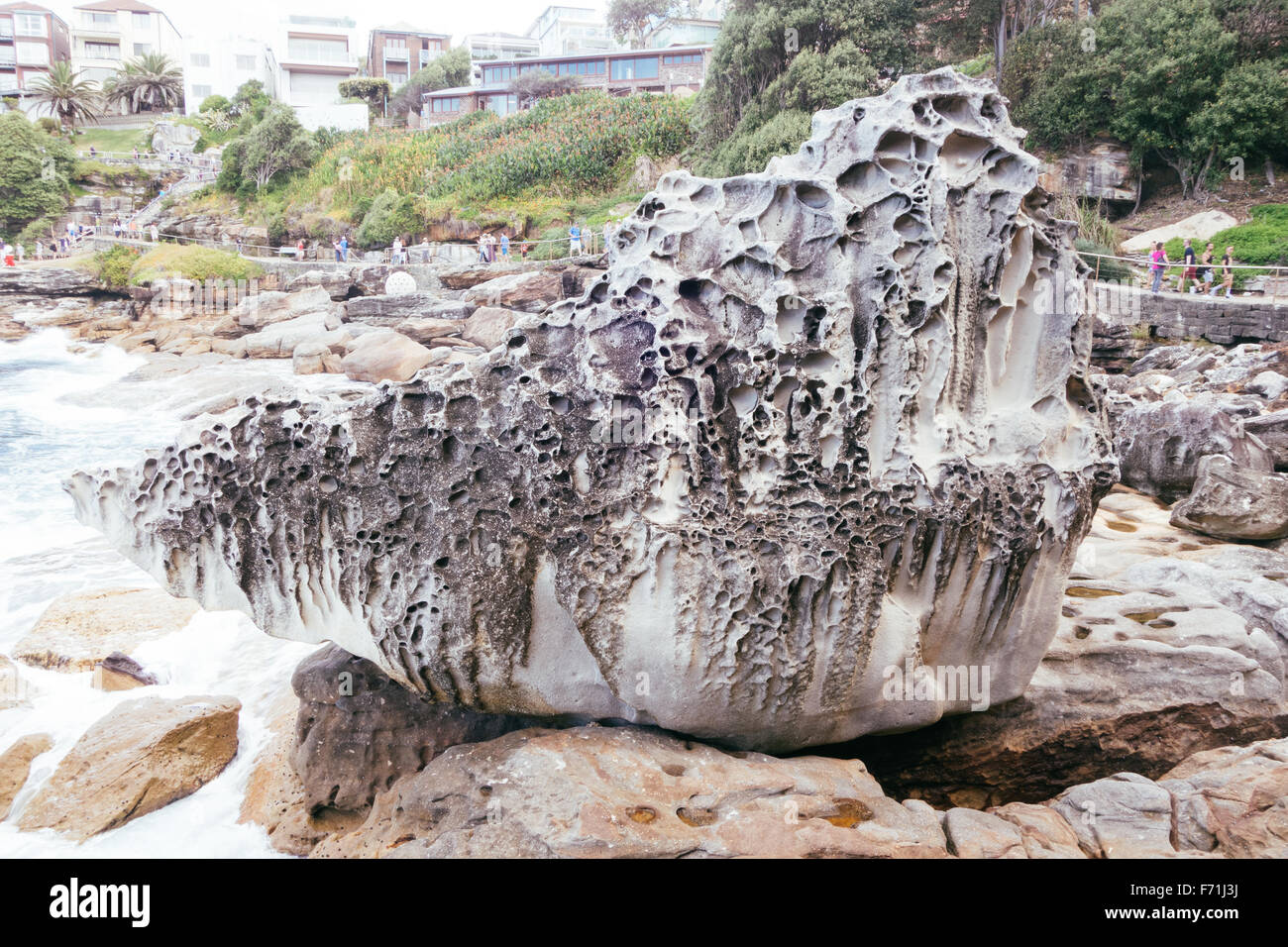 rock formation bondi bronte coastal walk Stock Photo