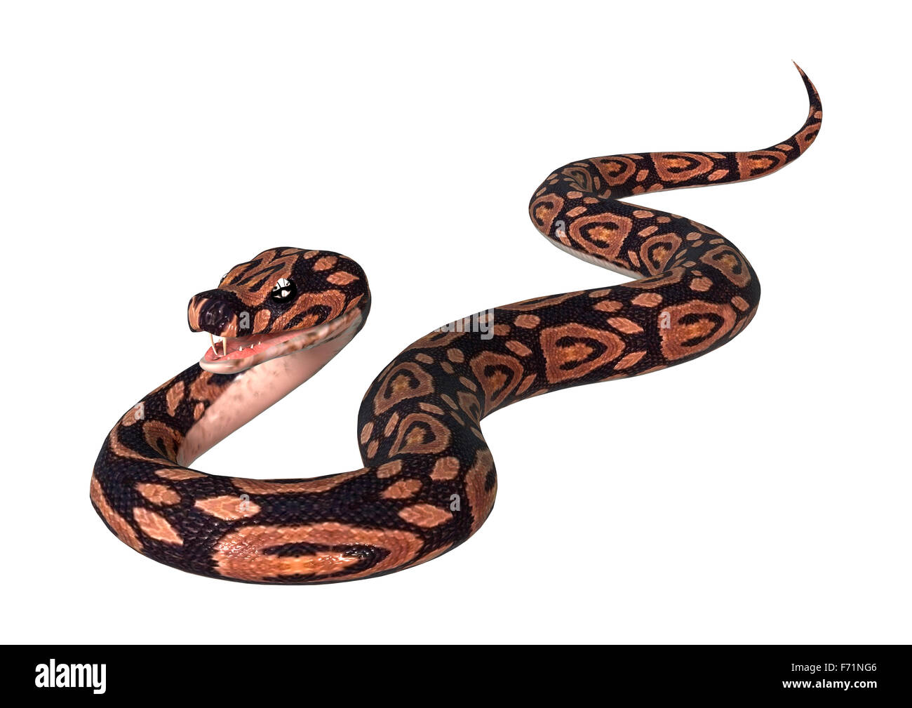 3d render snake hi-res stock photography and images - Alamy