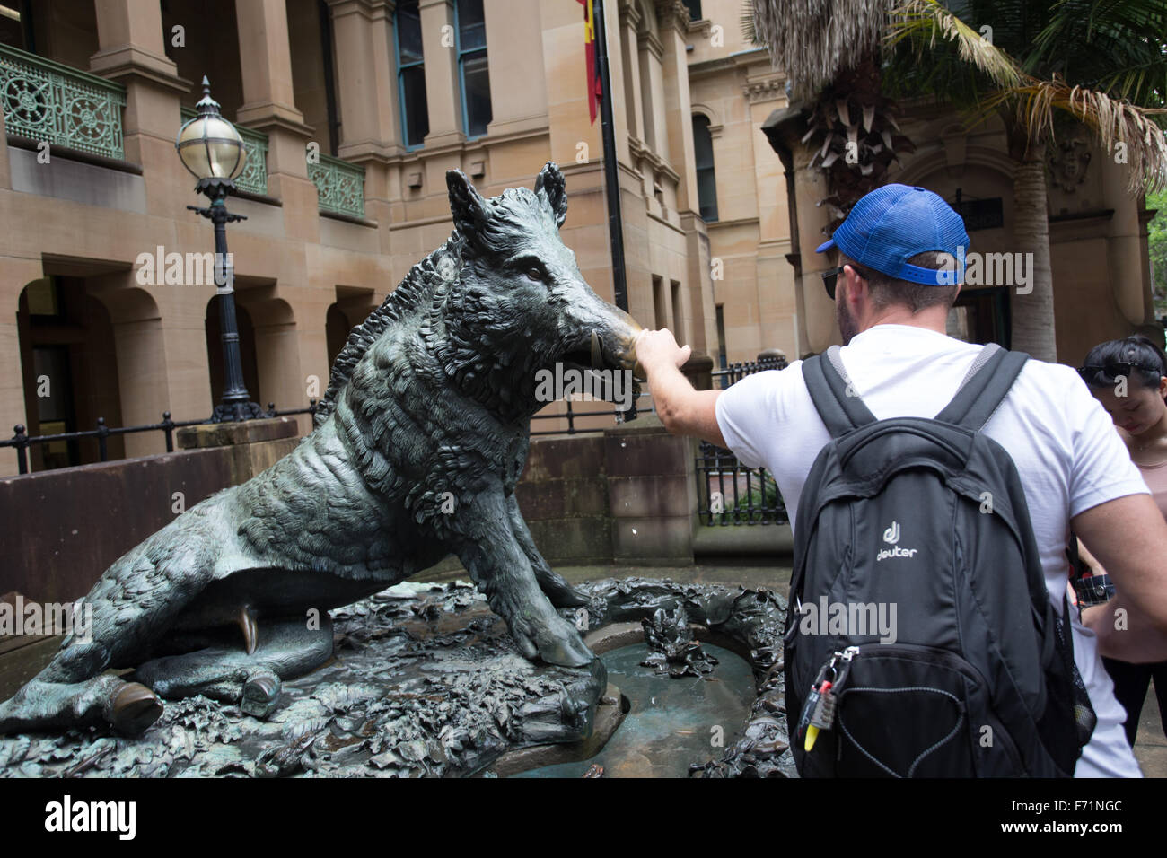 Sydney hospital statue pig boar Porcellino Stock Photo Alamy