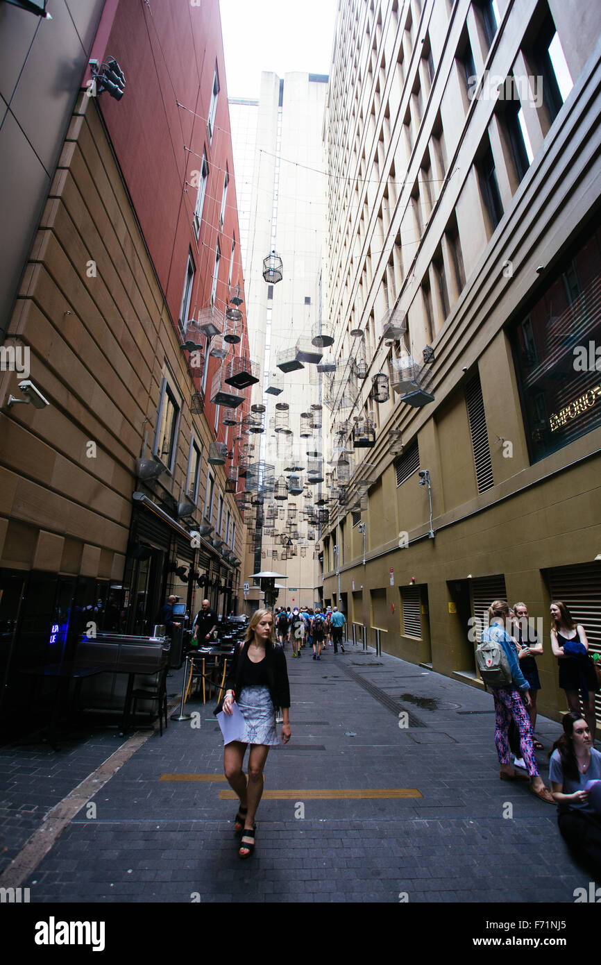 bird cages Sydney Australia Stock Photo Alamy