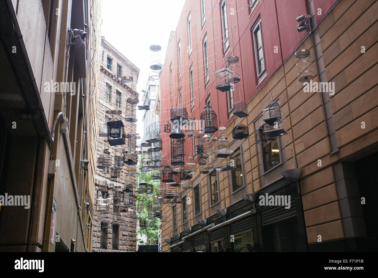 birdcage birdcages Sydney public art Stock Photo Alamy