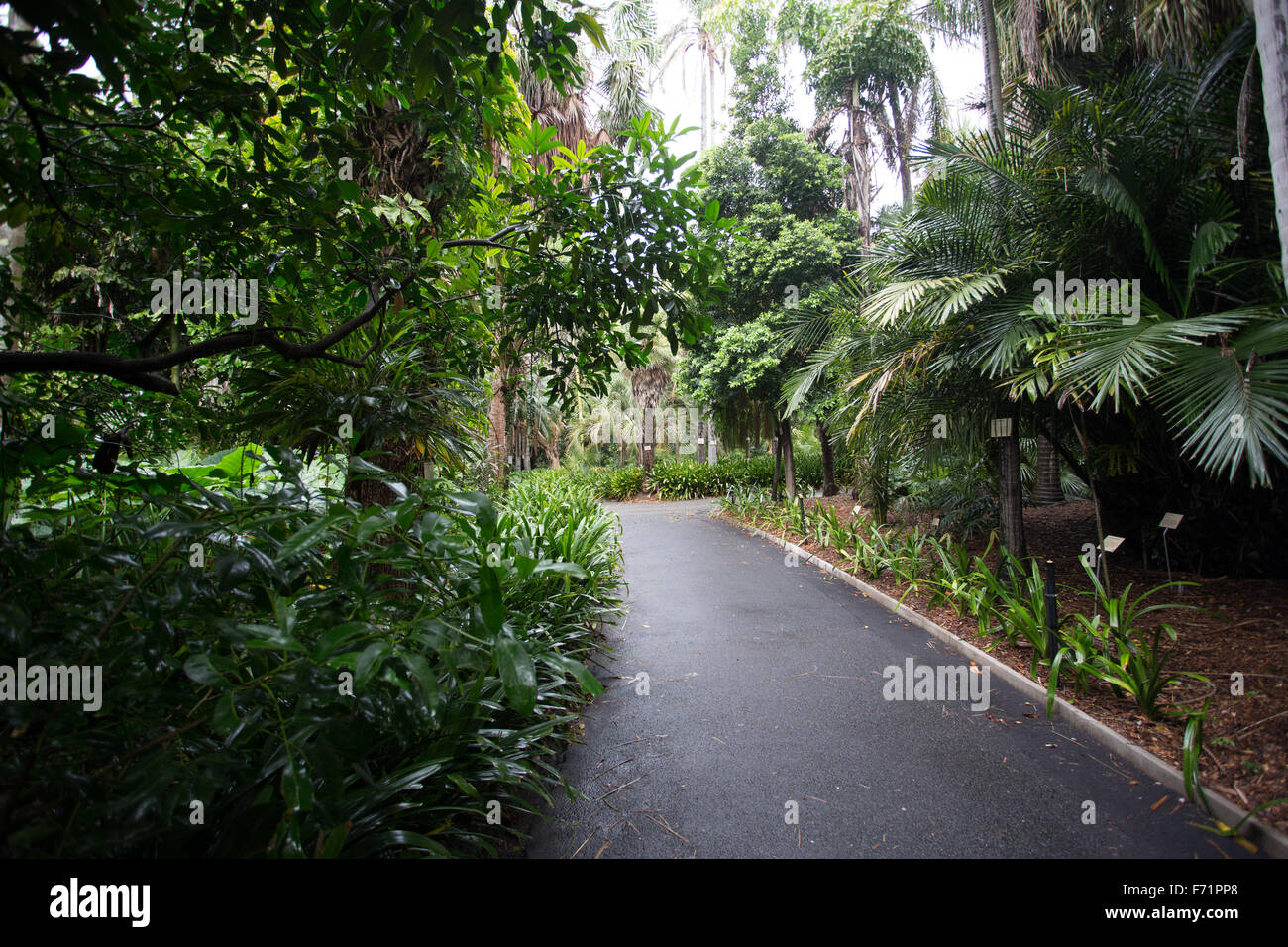 Royal Botanic Gardens Sydney Stock Photo