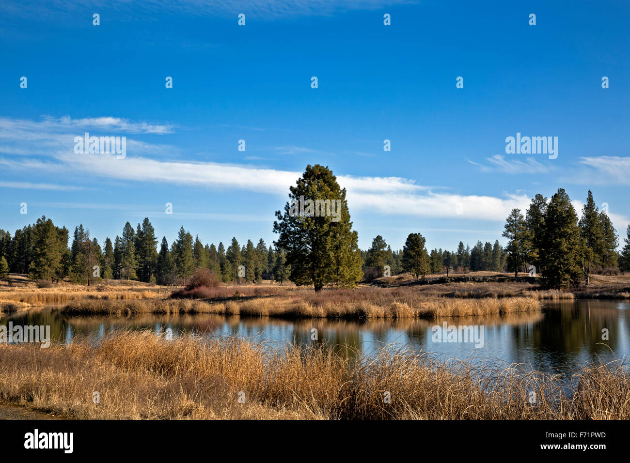 WA1209300...WASHINGTON Middle Pine Lake from the Pine Lakes Loop