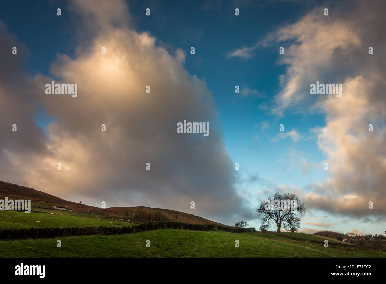 Tree on a hill sandwiched inbetween two giant clouds and blue sky Stock Photo