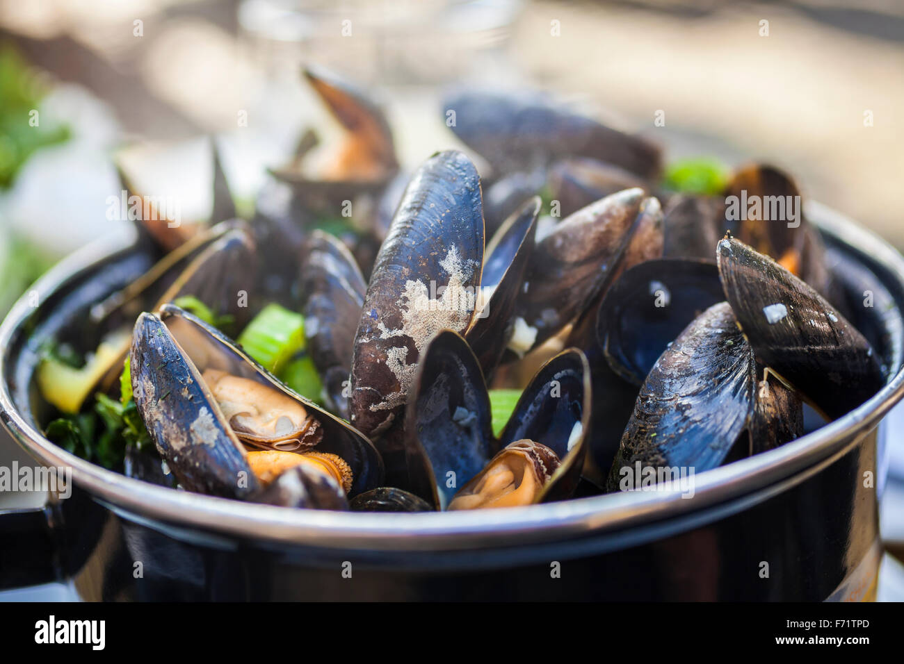 Bowl of fresh mussels moules mariniere Stock Photo Alamy