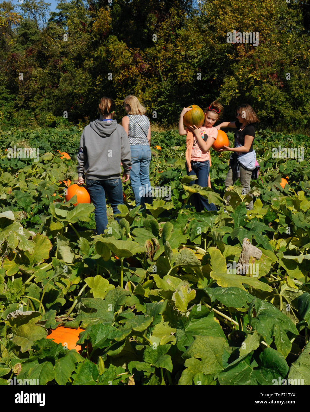 indiana tourist farm