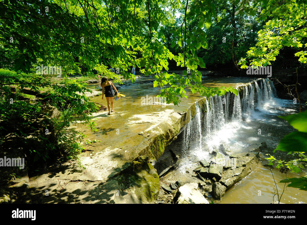 Anderson Falls on the Fall Fork of Clifty Creek, Hartsville, Indiana