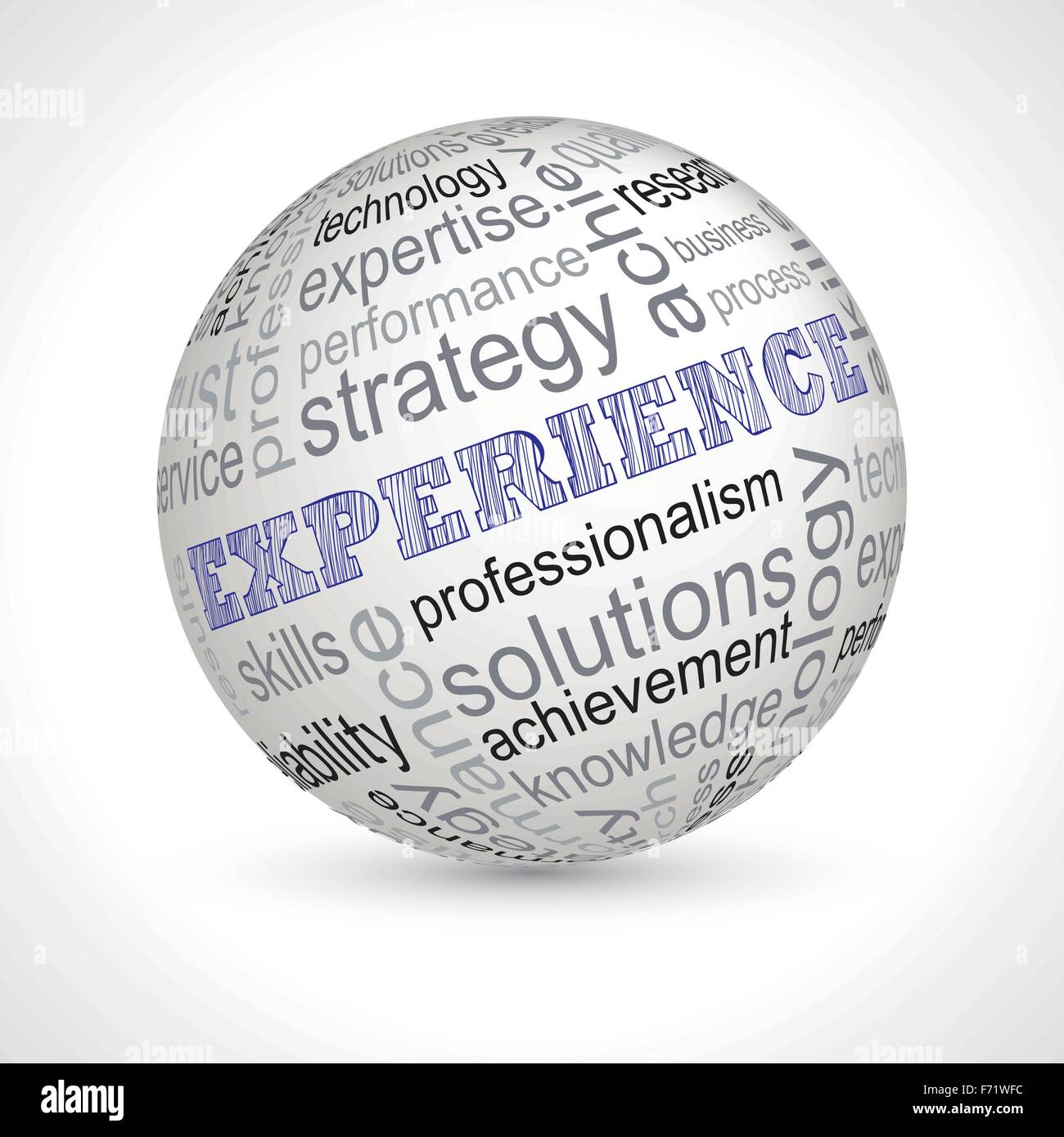 Experience theme sphere with keywords full vector Stock Vector