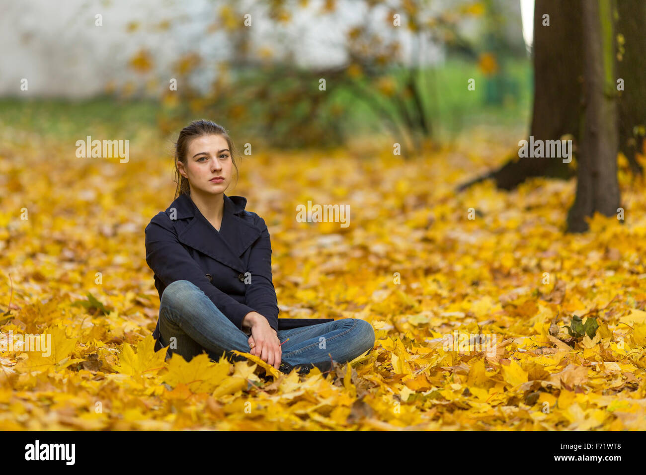 Young girl sitting on fallen leaves in autumn Park Stock Photo - Alamy