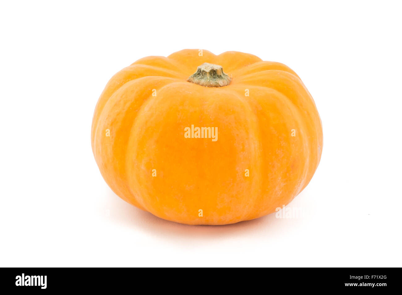 A single pumpkin isolated on a white background Stock Photo - Alamy