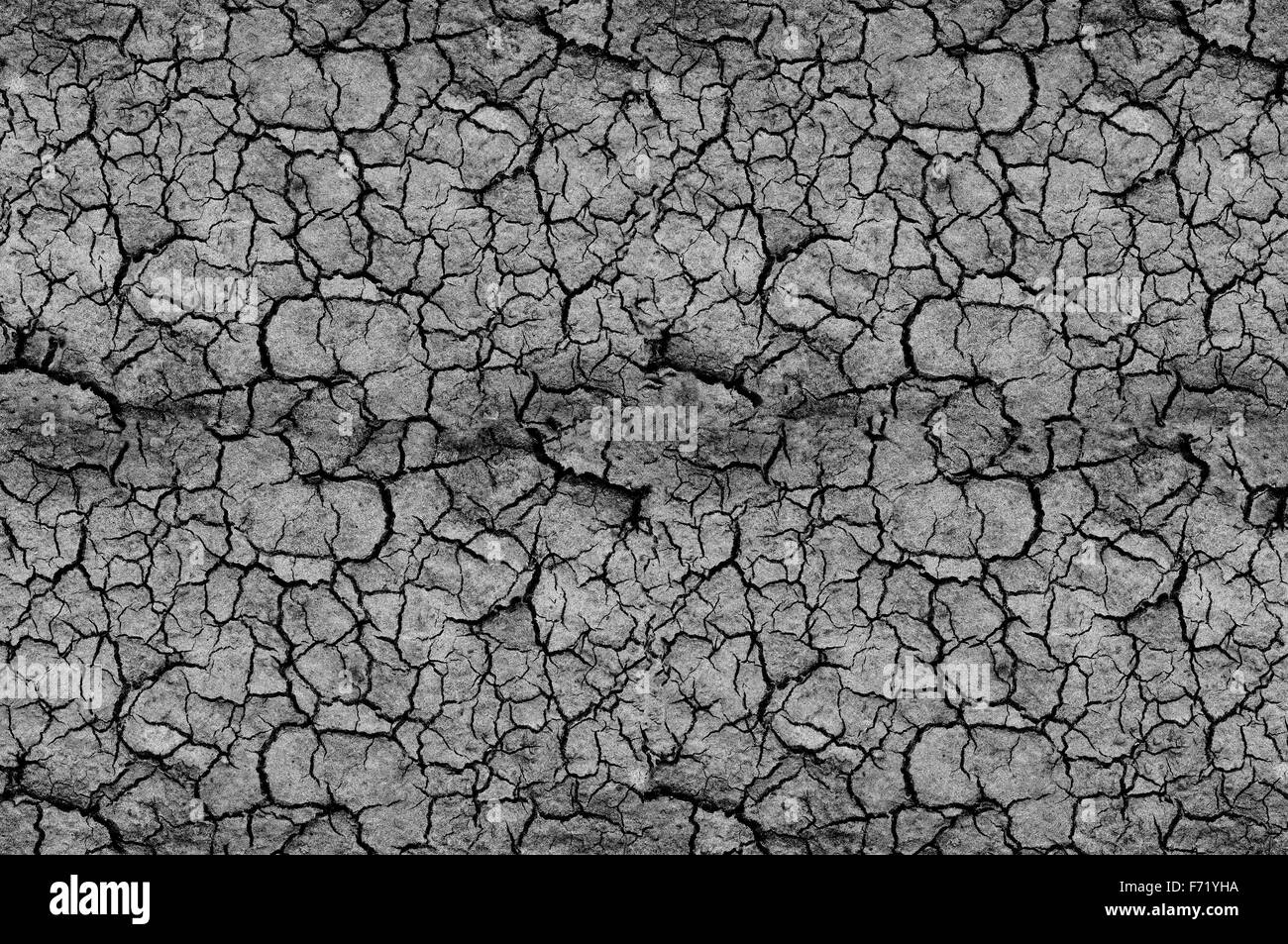 abstract background. cracked, gray surface Stock Photo