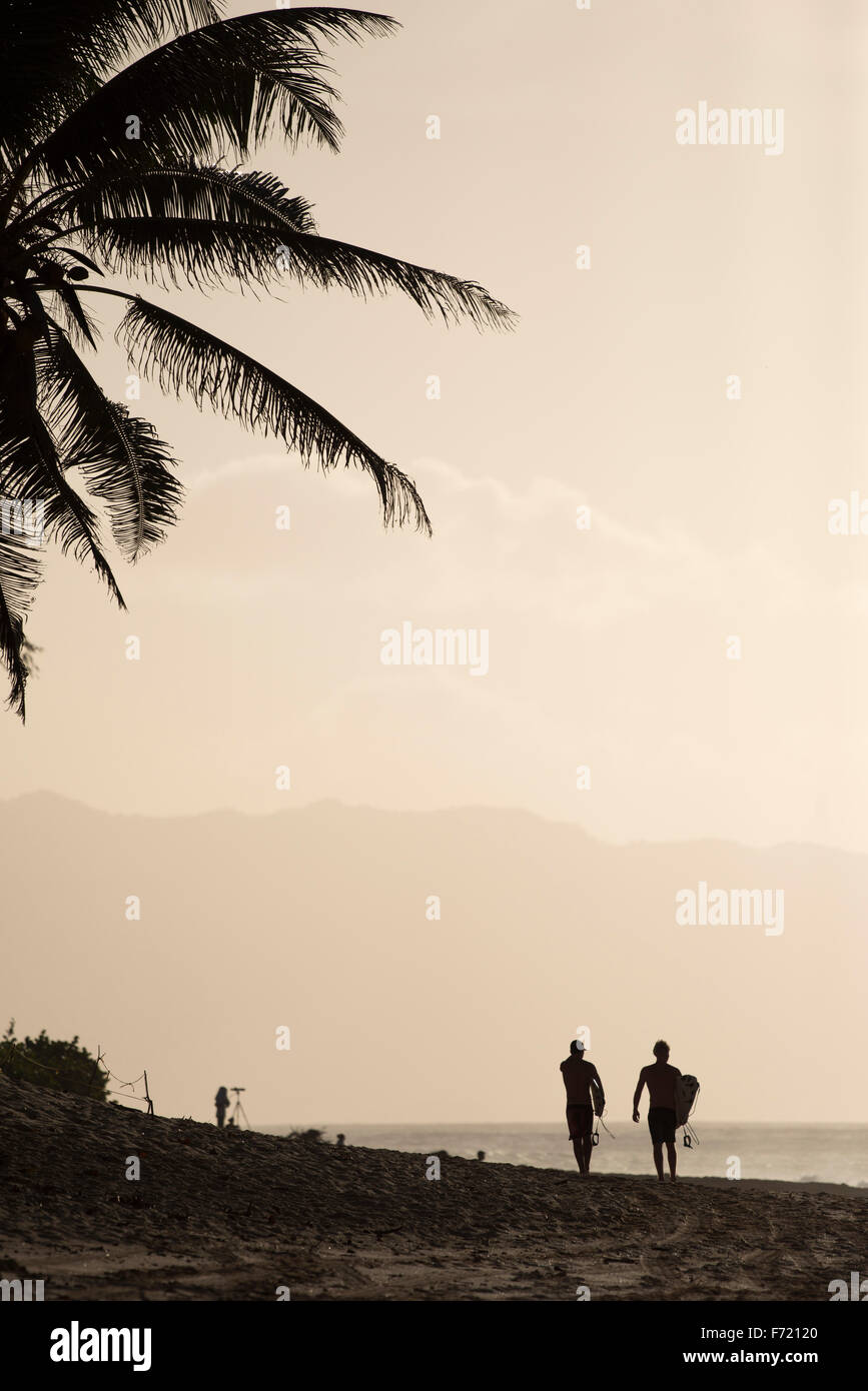 Silhouette of palm trees with two surfers walking along the beach after a surf. Stock Photo