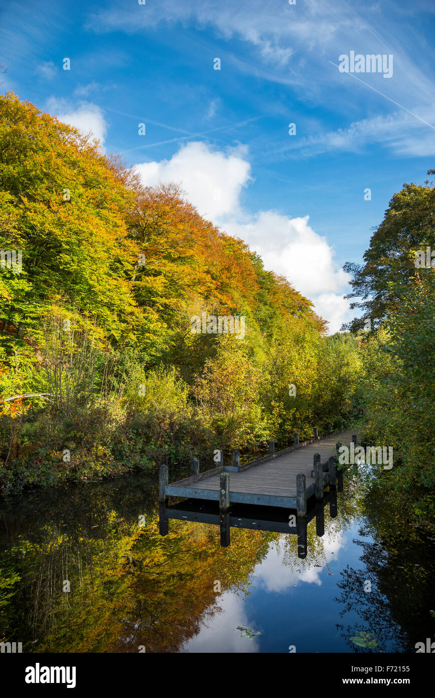 Jetty over a nature pond at Etherow country park, Stockport, England. A sunny autumn day Stock