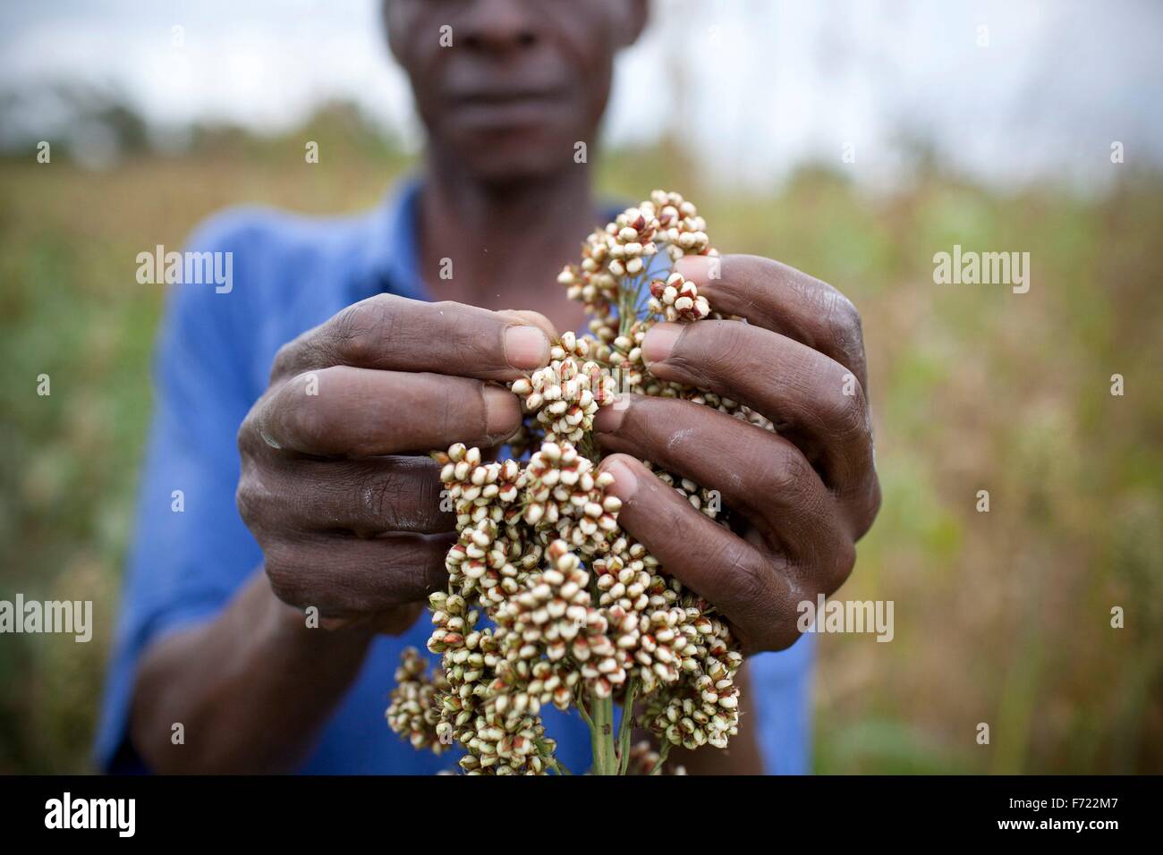 farmer kenya hires stock photography and images Alamy