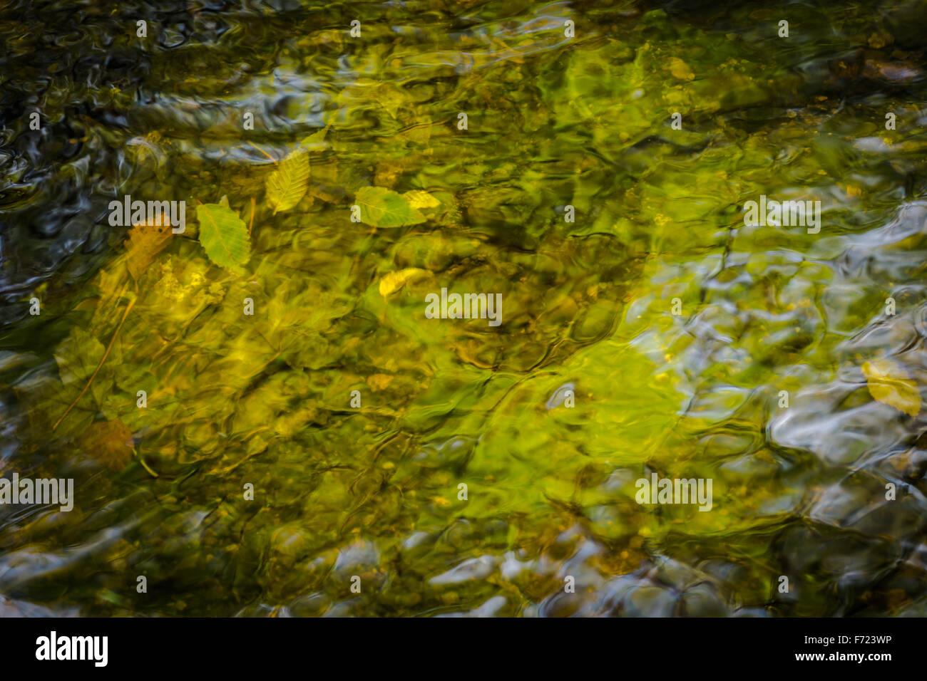 Autumn Leaves and reflections on water. Stock Photo