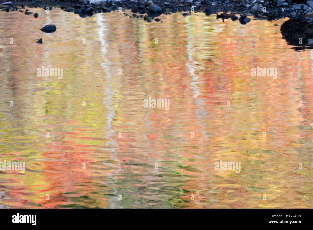 beautiful display of autumn color on a moving river reflection adding ...