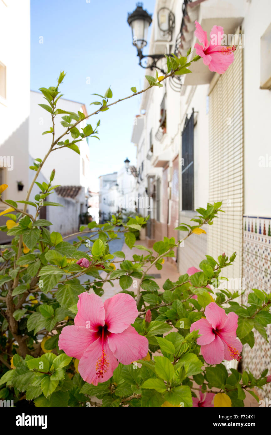 A street in the village of Manilva, Andalucia, Spain. Stock Photo