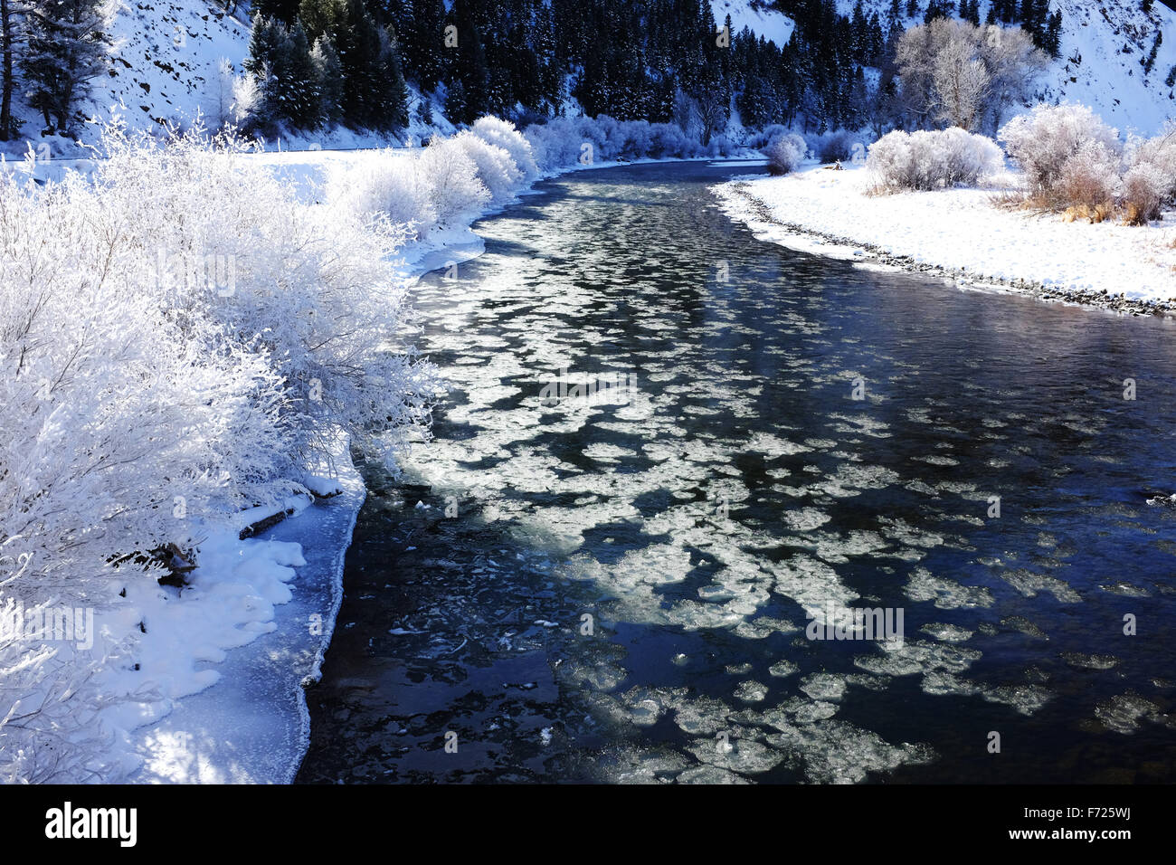 Salmon River, Idaho, winter arriving Stock Photo Alamy