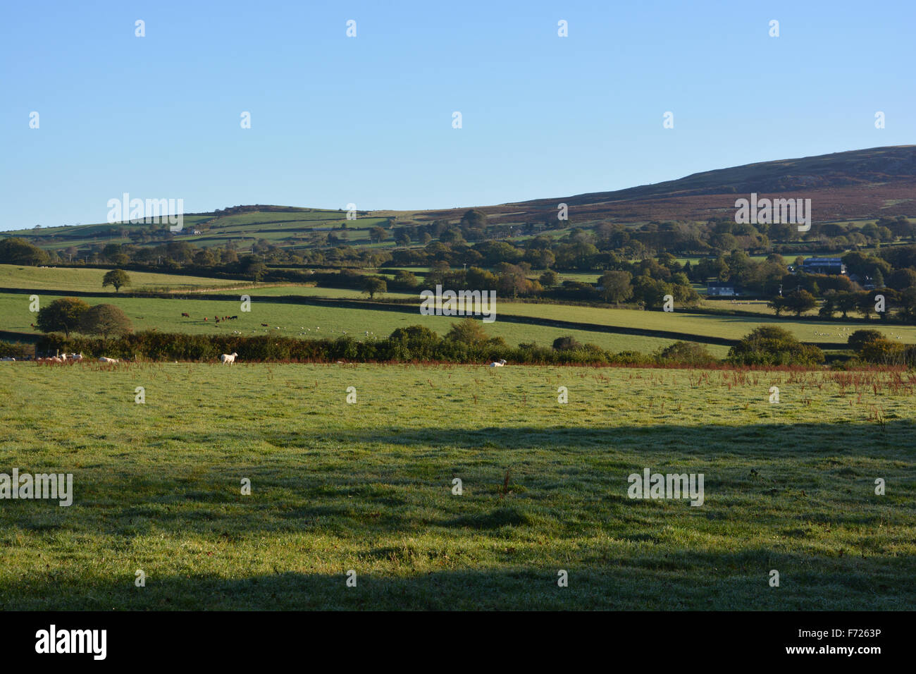 View over farmland on the edge of Dartmoor National Park, near Tavistock, Devon. Stock Photo