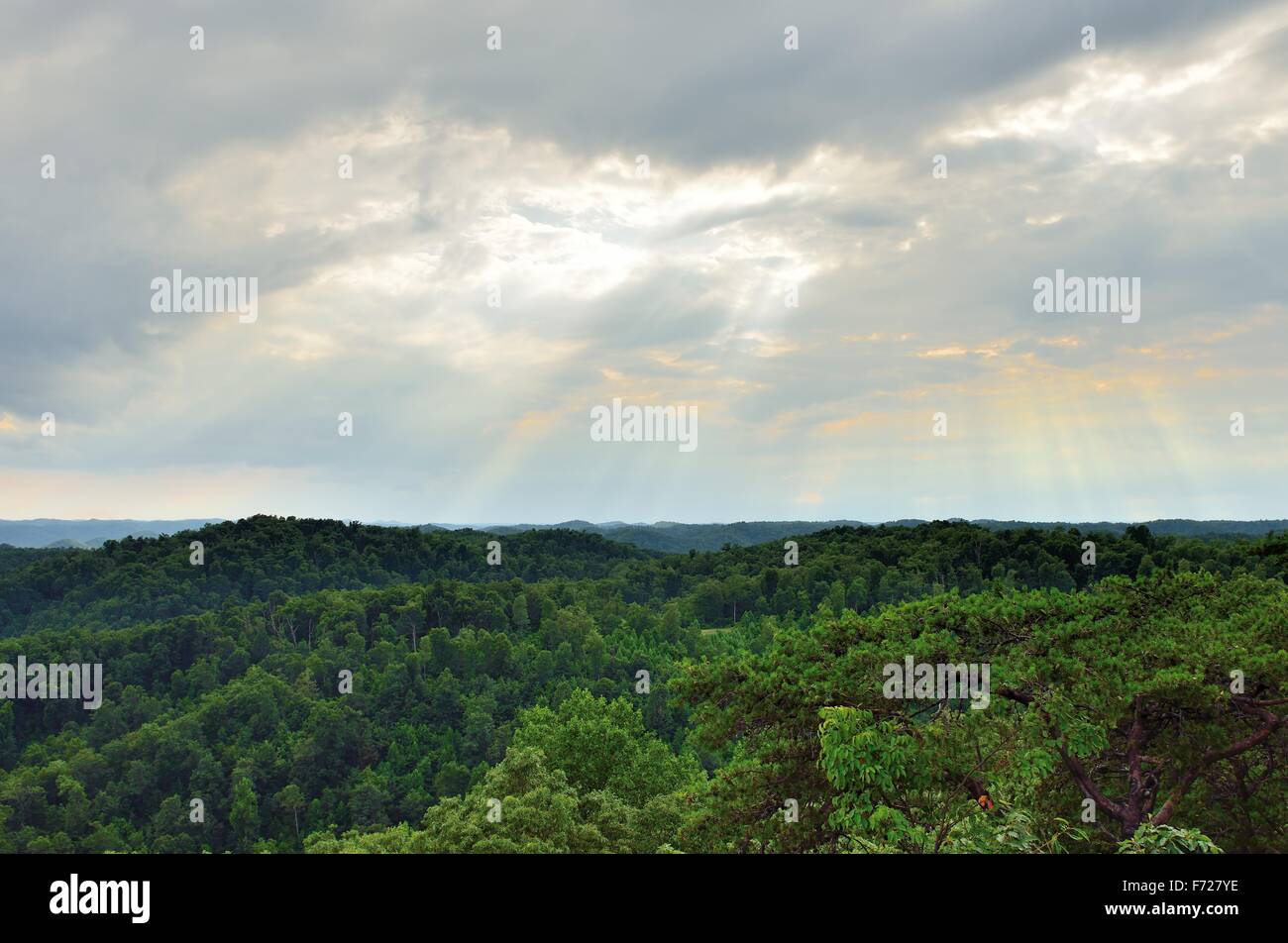 An amazing evening sky with rays of light shining through above a green forest with a lake in the center. Stock Photo