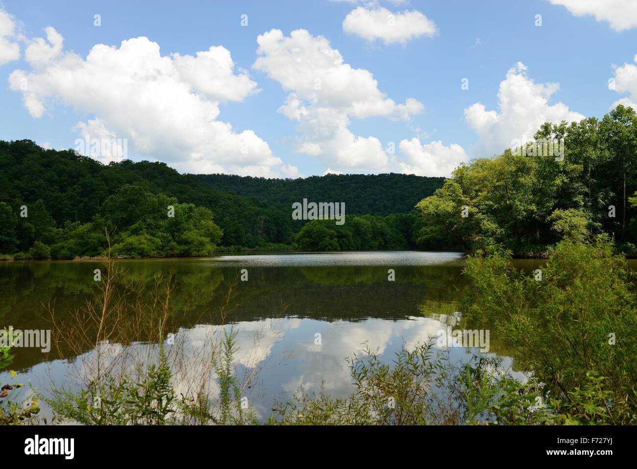 This beautiful image was captured in Paragon Cave Run Lake in eastern