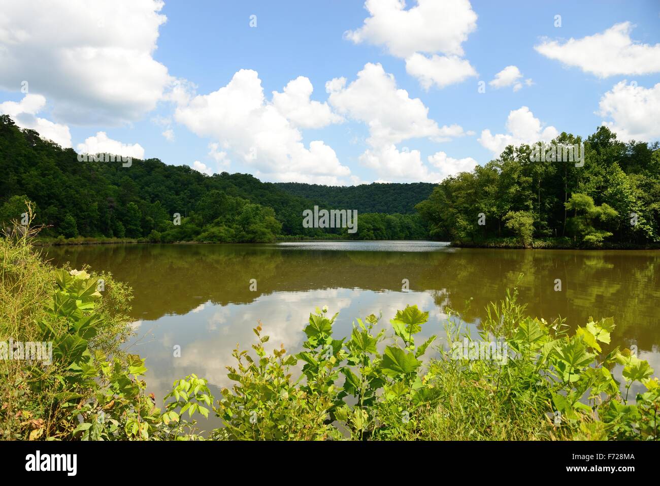 This beautiful image was captured in Paragon Cave Run Lake in eastern