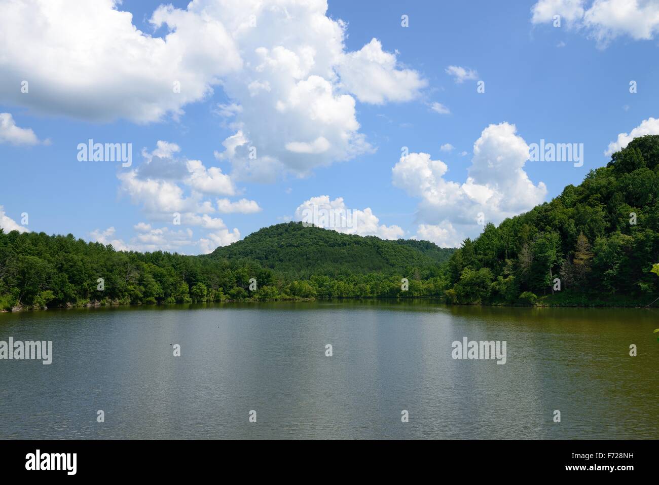 This beautiful image was captured in Paragon Cave Run Lake in eastern Kentucky Stock Photo Alamy