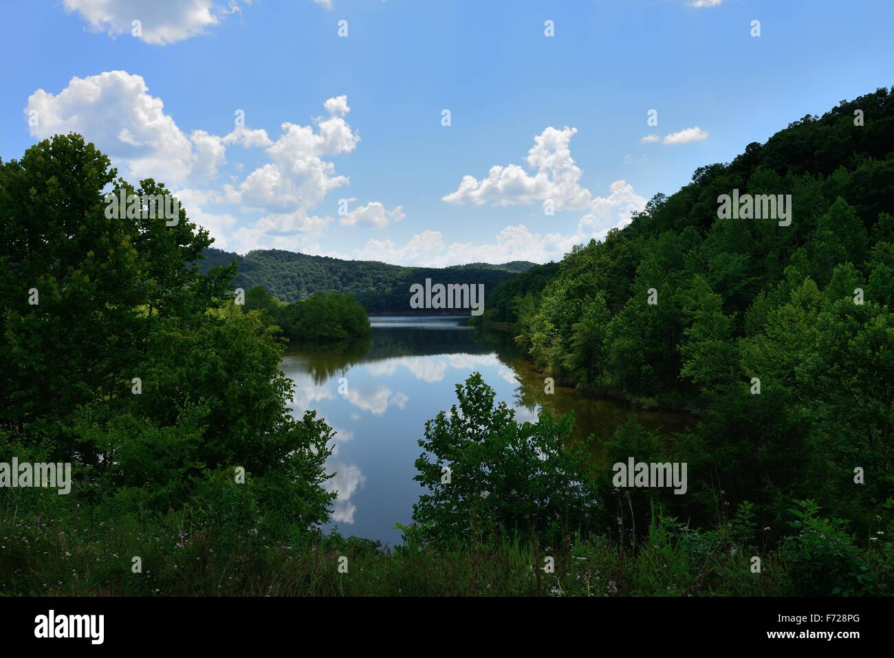 This beautiful image was captured in Paragon Cave Run Lake in eastern