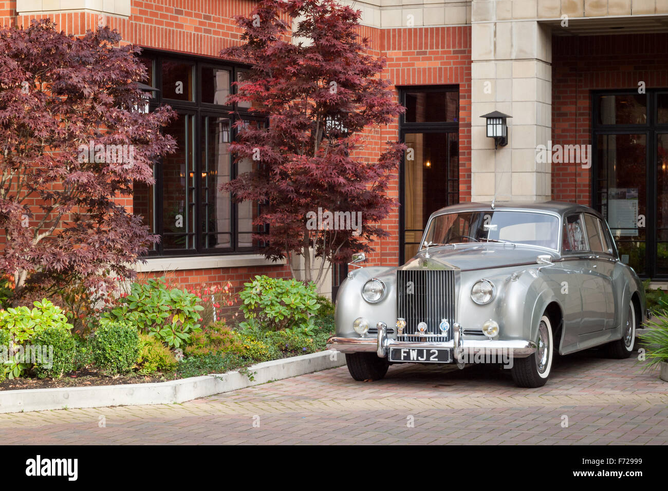Any Given Sundae One Super Sweet 1961 RollsRoyce Silver Cloud LWB