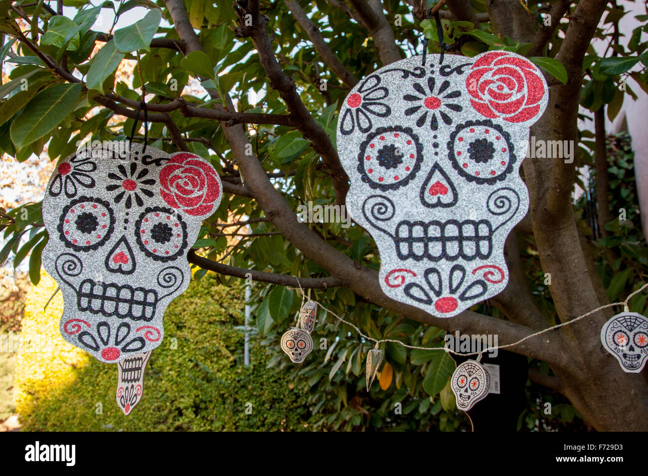 Halloween celebration on Russell Street in Berkeley California. Mostly for the kids, but the adults can't resist! Stock Photo