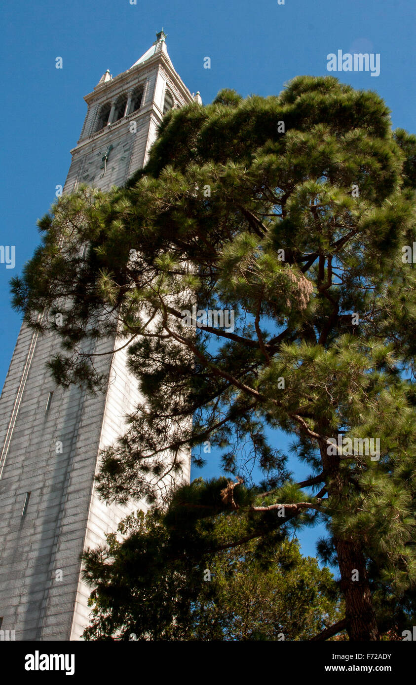 The Campanile/Sather Tower is a clock tower on the UC Berkeley campus