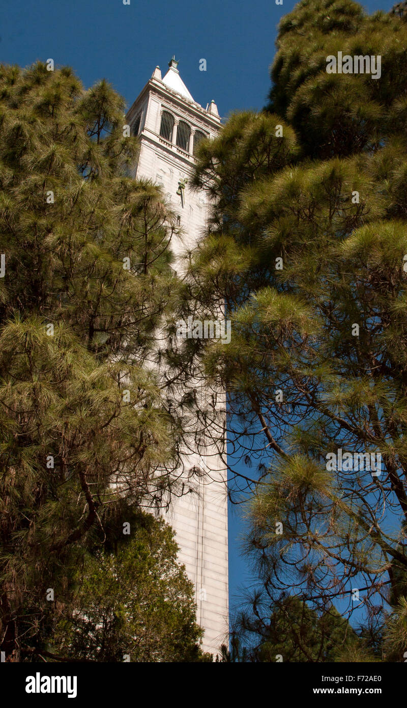 The Campanile/Sather Tower is a clock tower on the UC Berkeley campus