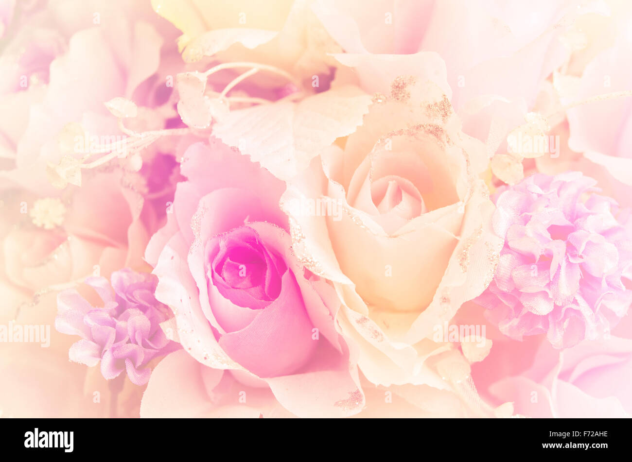 Bright pink roses background Stock Photo Alamy
