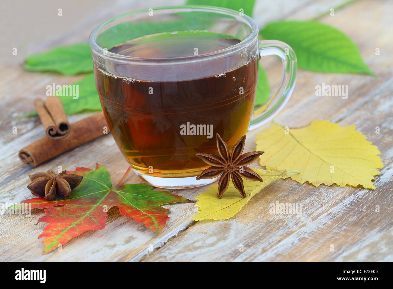 Cup of black tea, autumn leaves and anise Stock Photo