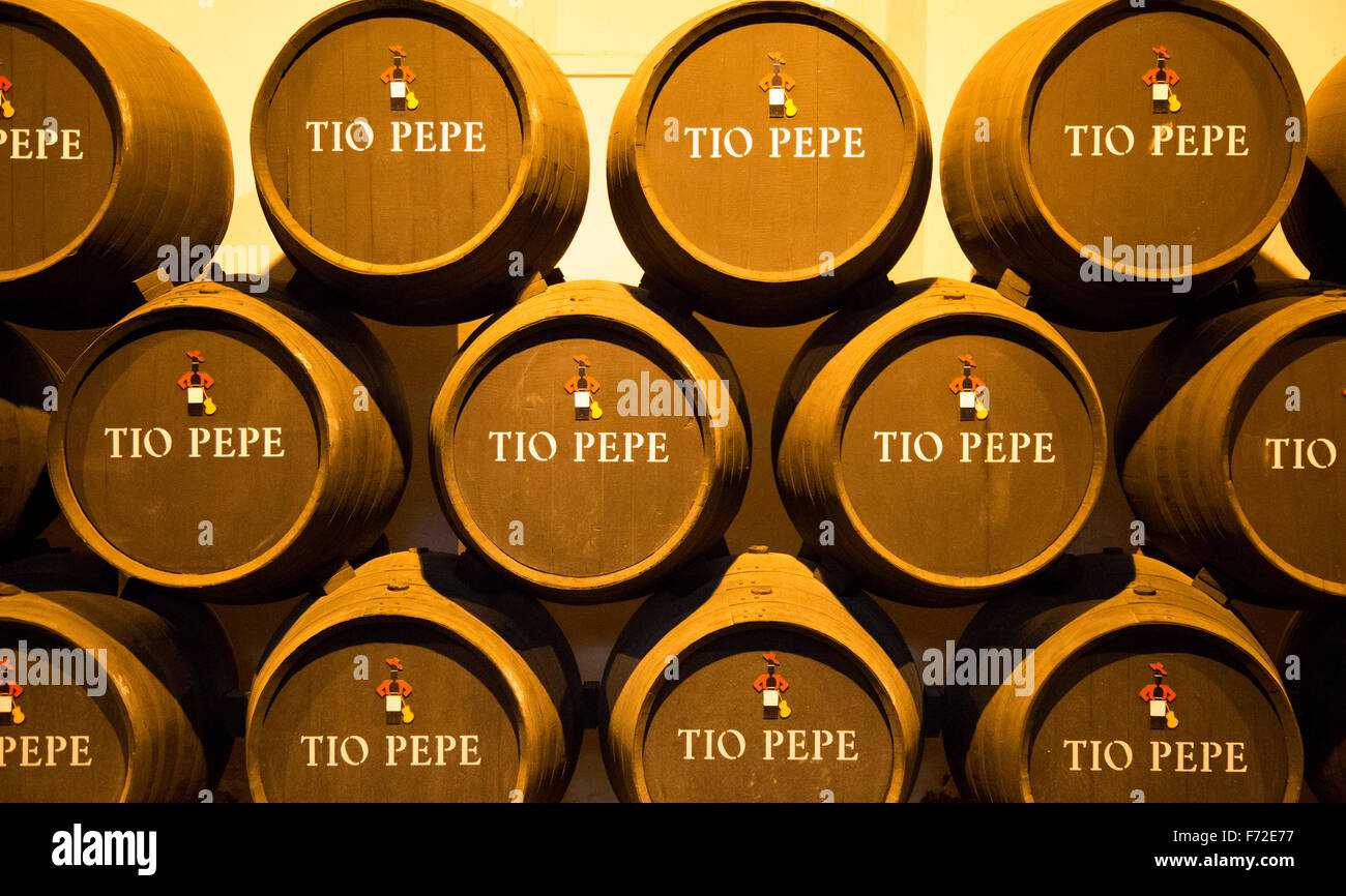 Oak barrels of maturing Tio Pepe fino sherry wine cellar, Gonzalez Byass bodega, Jerez de la Frontera, Cadiz province, Spain Stock Photo