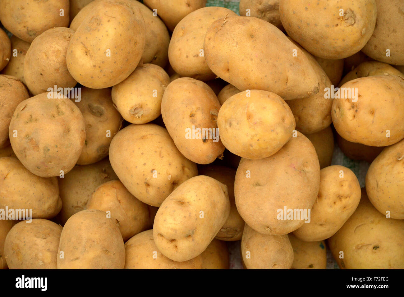 Potato farming india hi-res stock photography and images - Alamy