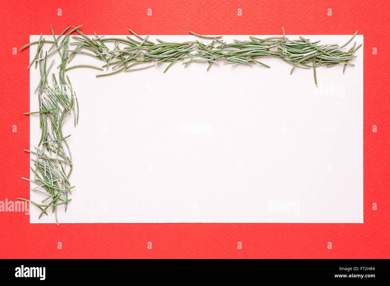 Blank Christmas card or invitation with fir on red background Stock Photo
