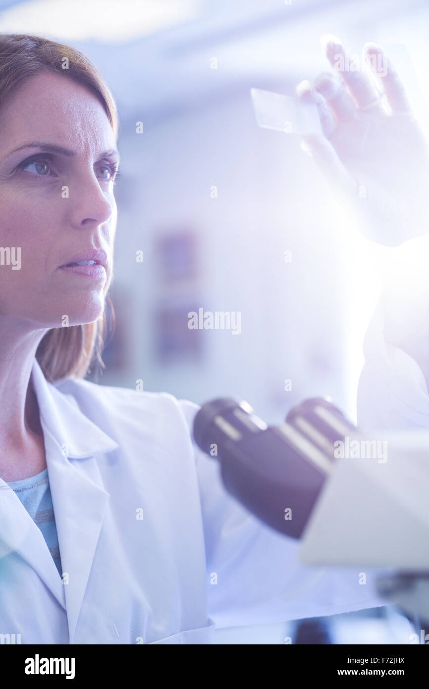 Scientist looking at test slide in the lab Stock Photo