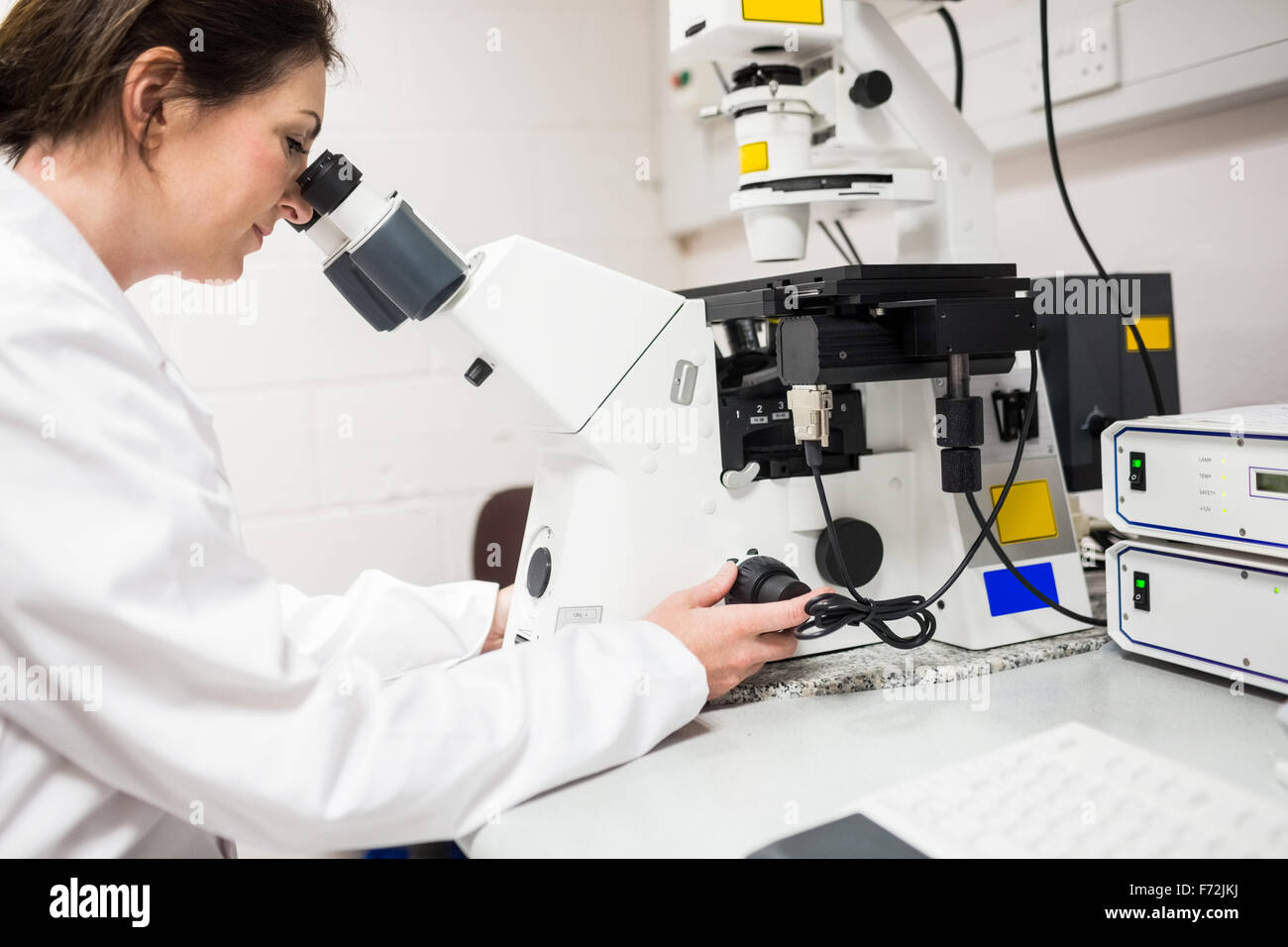 Scientist looking through a microscope Stock Photo