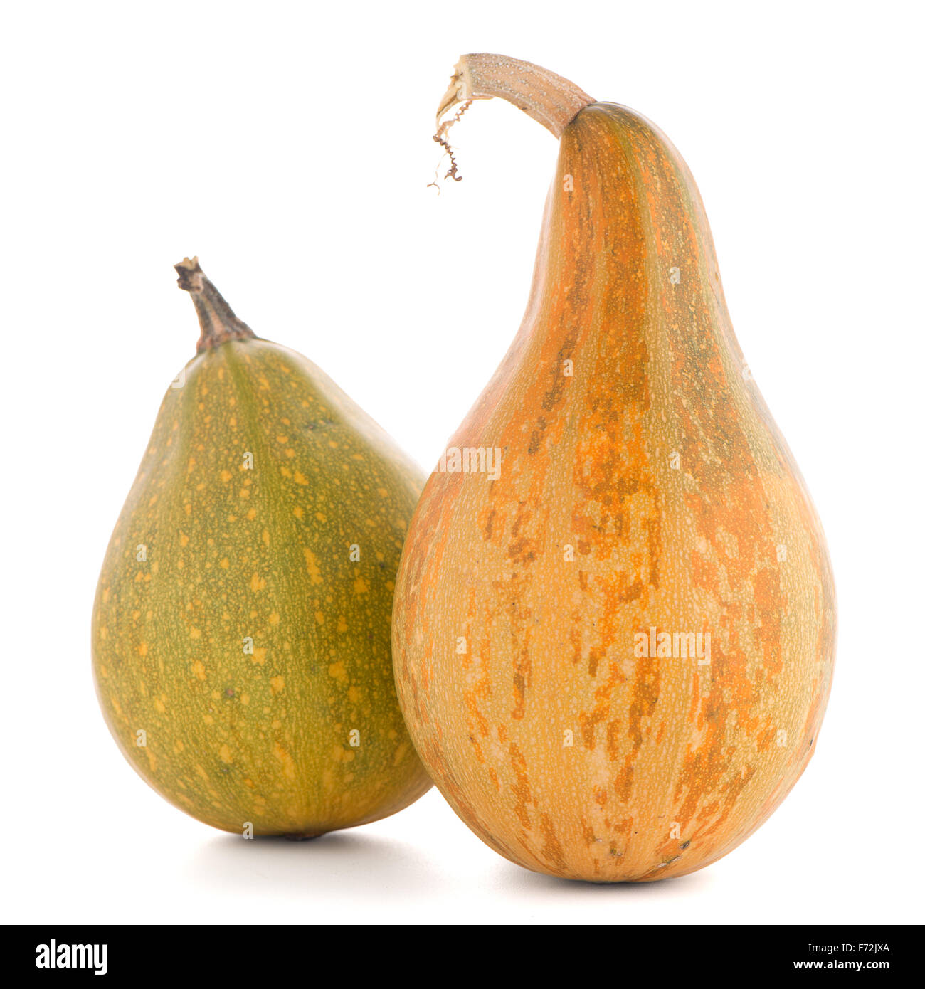 Pumpkins isolated on white background Stock Photo - Alamy