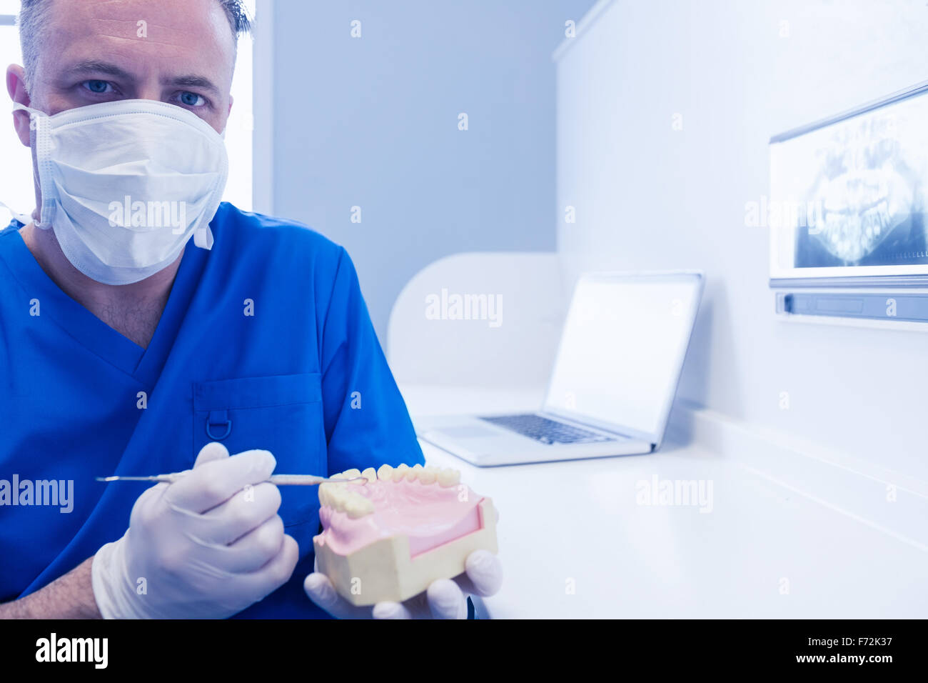 Dentist holding mouth model and dental tool Stock Photo Alamy