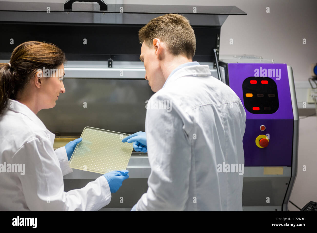 Scientists examining a large slide Stock Photo