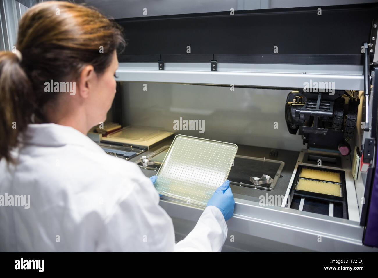 Scientist examining a large slide Stock Photo