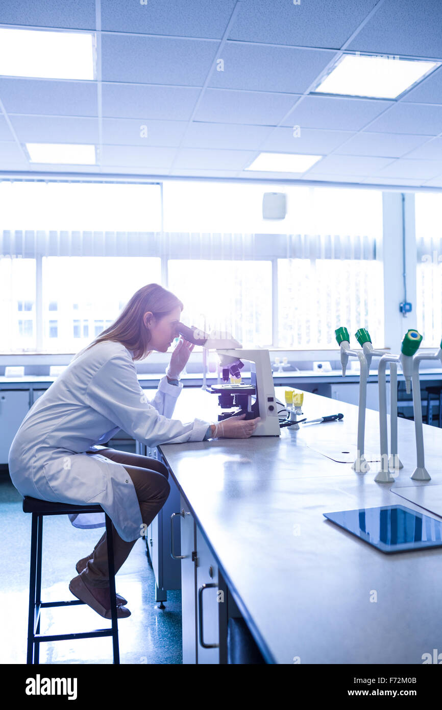 Scientist working with a microscope in laboratory Stock Photo