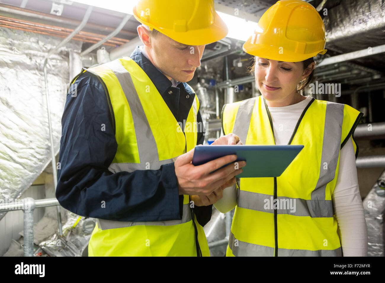 Engineers working in temperature control room Stock Photo Alamy