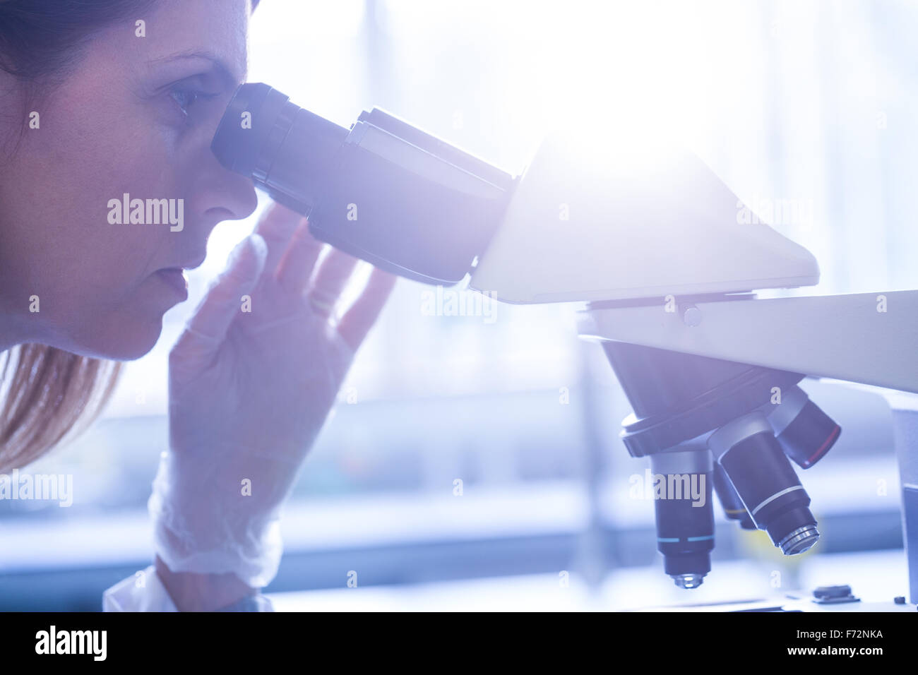 Scientist working with a microscope in laboratory Stock Photo