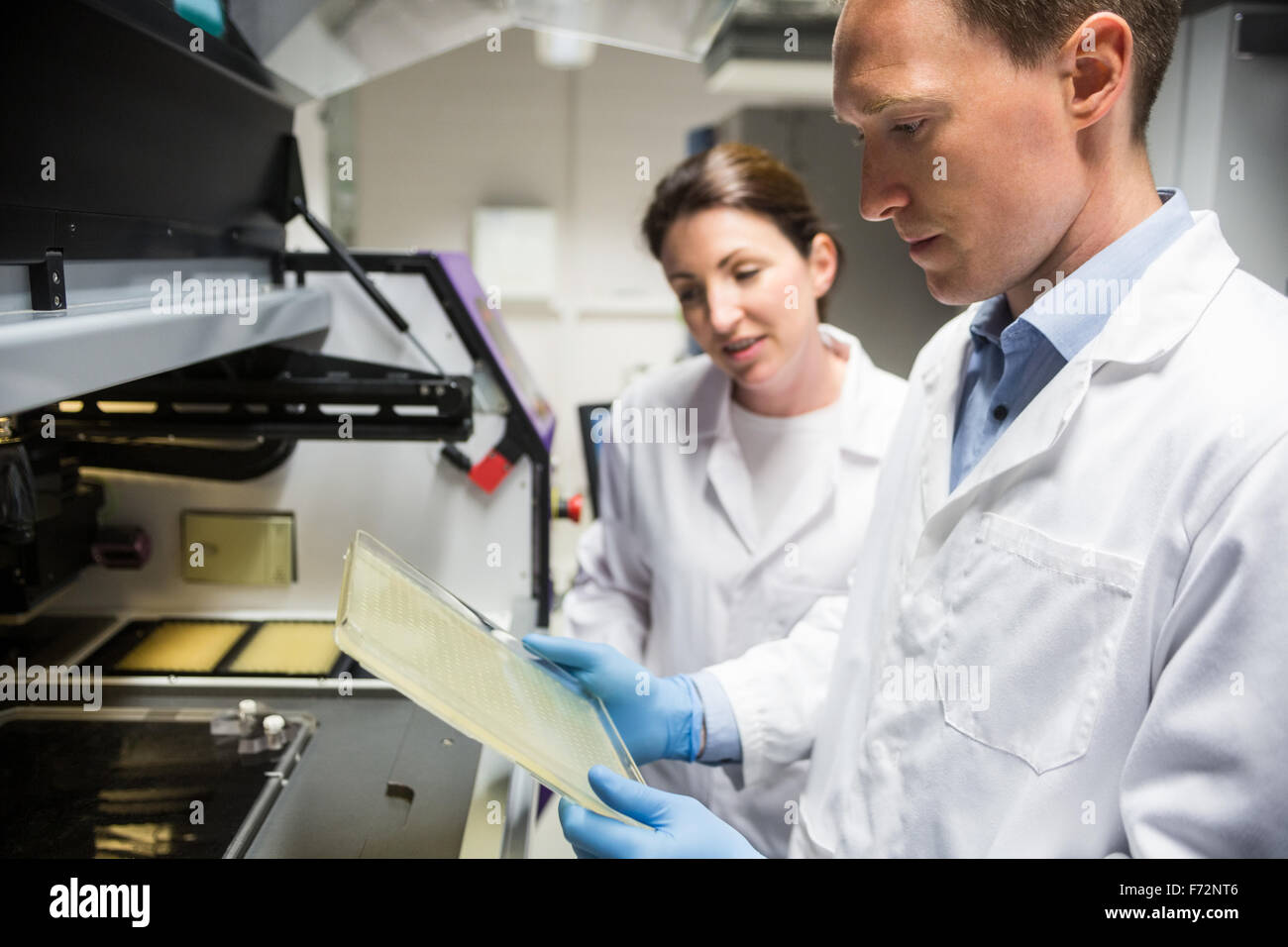 Scientist examining a large slide Stock Photo